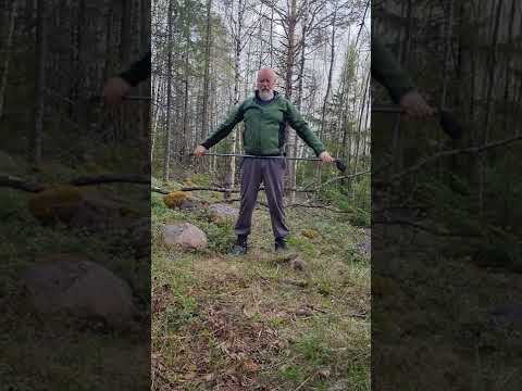 Hiking pole exercises